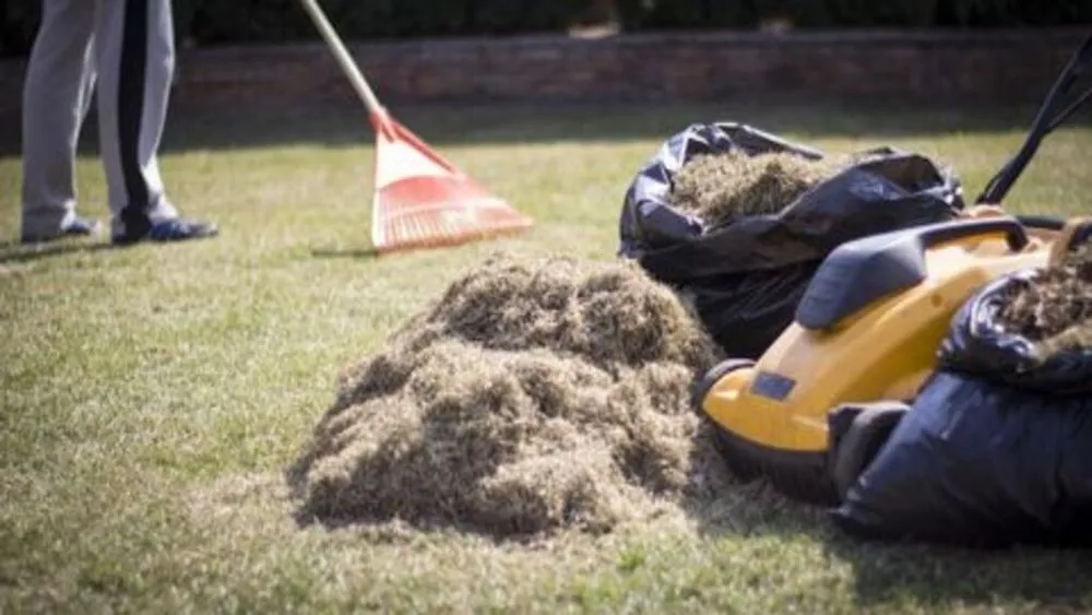 Custom garden landscaping in Cincinnati, OH by Nature Plus Lawn & Irragation