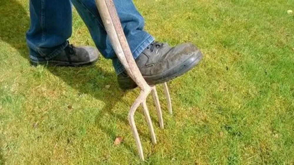 Top-rated yard cleanup service in Cincinnati, OH - Nature Plus Lawn & Irragation