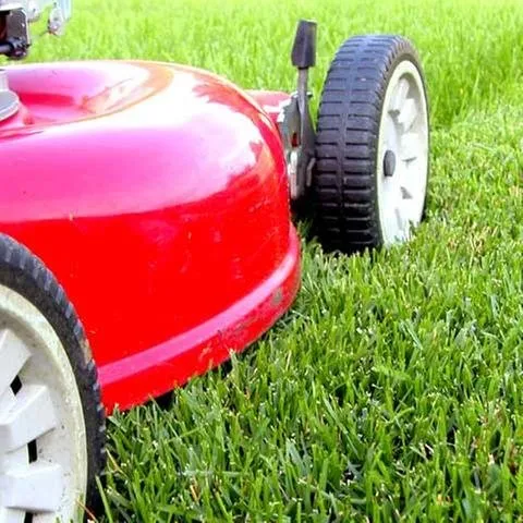 Local landscape design in Cincinnati, OH by Nature Plus Lawn & Irragation