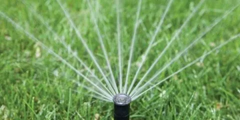 Expert yard cleanup service for residential properties across Cincinnati, OH - Nature Plus Lawn & Irragation