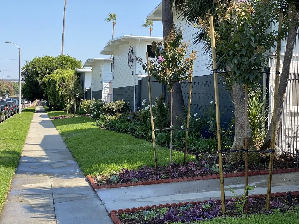 Expert yard cleanup service for residential properties across Calabasas, CA - Nature-Scape Landscape