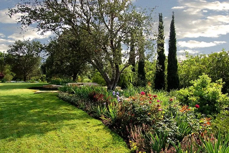 Reliable outdoor landscaping experts serving Calabasas, CA - Nature-Scape Landscape