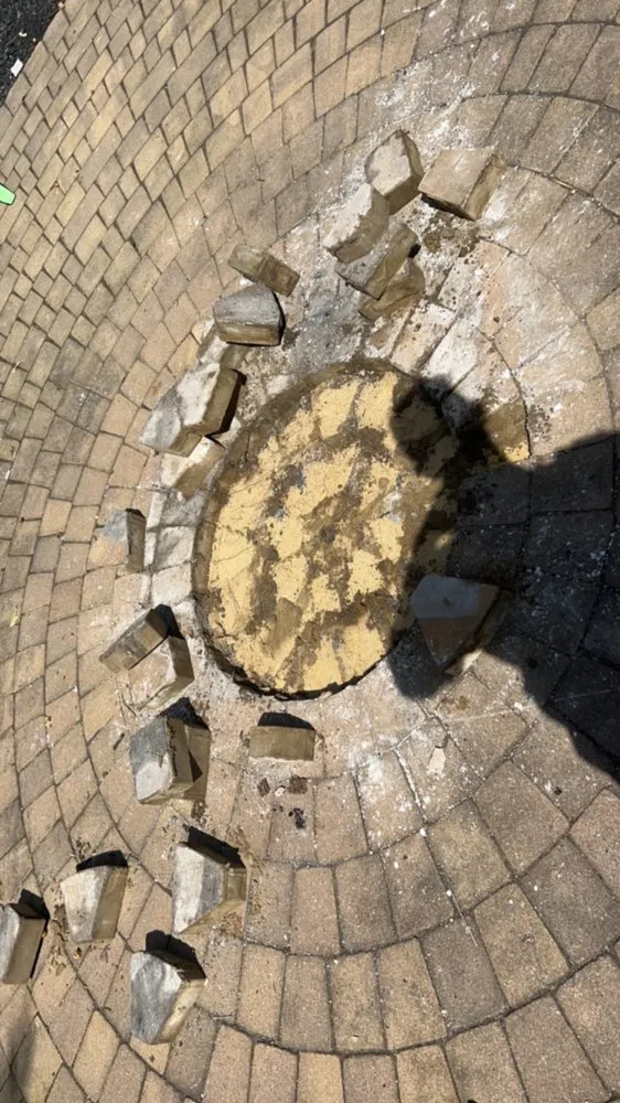 Professional lawn care service for residential properties in Tuckerton, NJ by Nature Scape