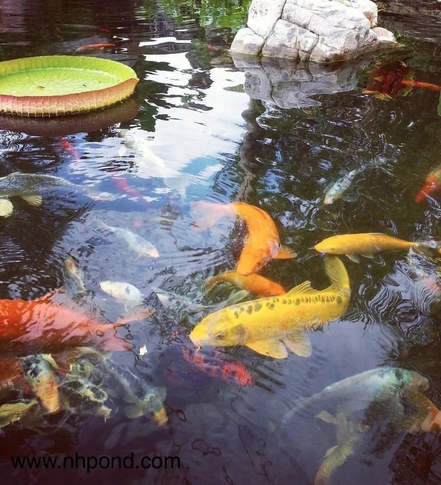 Professional garden landscaping for year-round maintenance across Grafton, NH - Nature Scapes