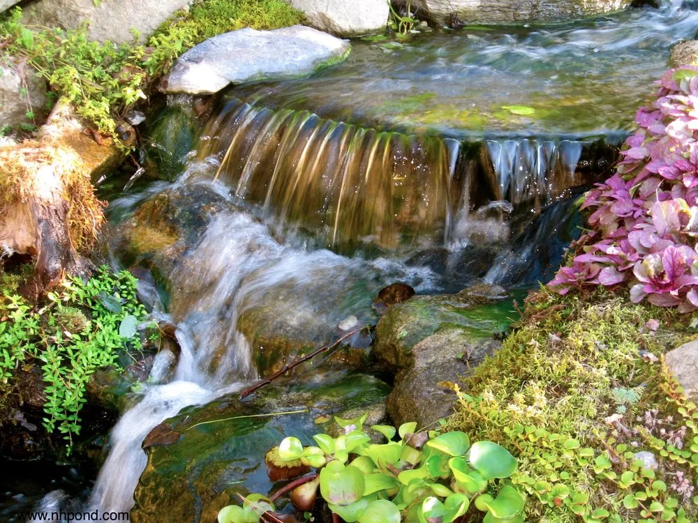 Affordable landscaping services experts serving Grafton, NH - Nature Scapes