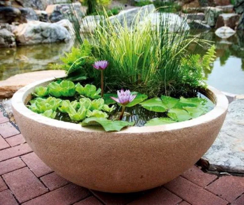 Top-rated residential landscaping experts serving Grafton, NH - Nature Scapes