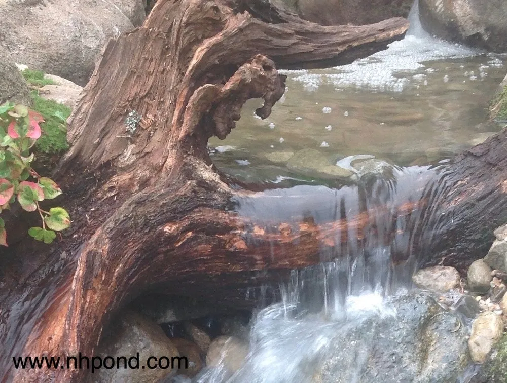 Local yard maintenance in Grafton, NH - Nature Scapes