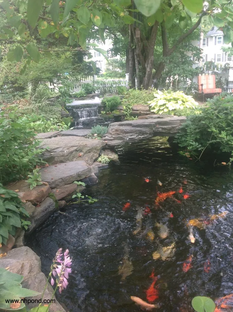 Expert yard cleanup service for residential properties across Grafton, NH - Nature Scapes