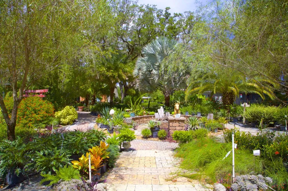 Expert landscape design in Bunnell, FL by Nature Scapes Landscaping