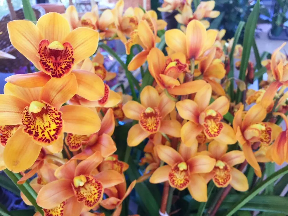 Reliable outdoor landscaping for homes across Bunnell, FL - Nature Scapes Landscaping