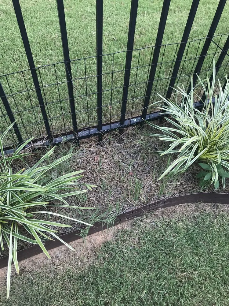 Top-rated yard cleanup service experts serving Lilburn, GA - Nature Scapes