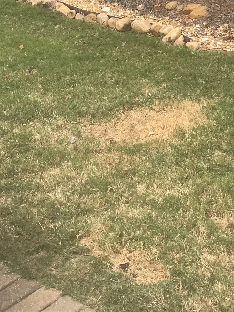 Local lawn mowing service with custom design in Lilburn, GA by Nature Scapes