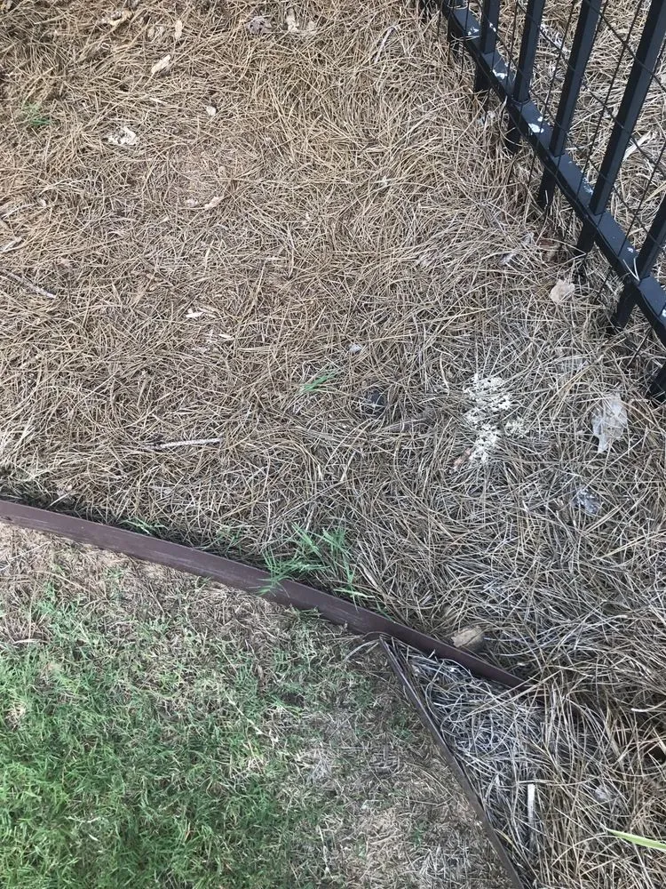 Professional yard cleanup service in Lilburn, GA - Nature Scapes