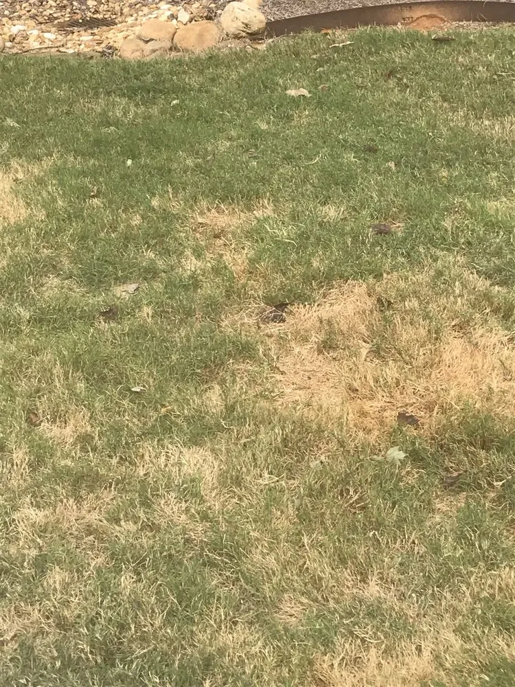 Local landscape design in Lilburn, GA by Nature Scapes