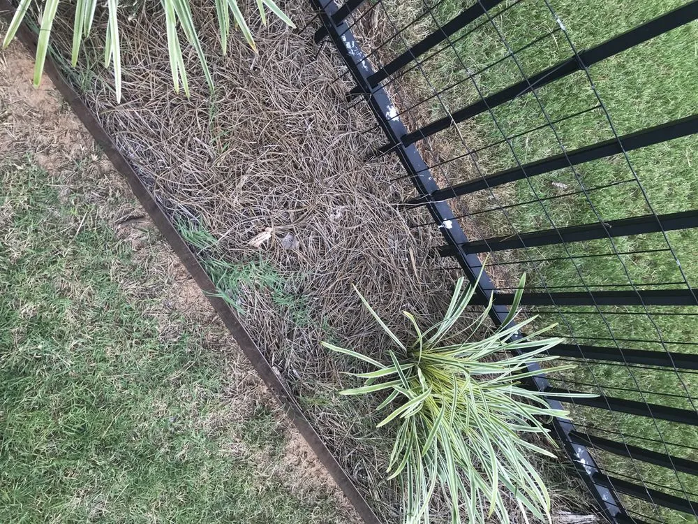 Top-rated lawn care service in Lilburn, GA - Nature Scapes