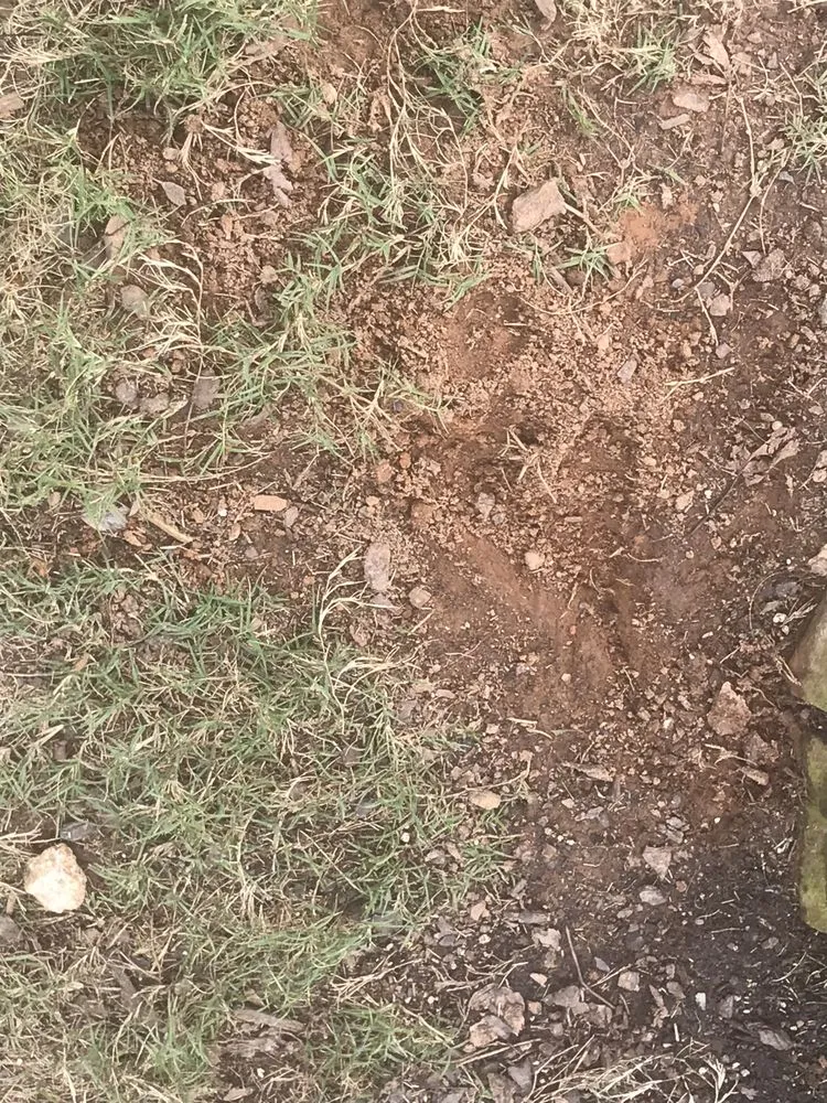 Trusted landscape installation with custom design across Lilburn, GA - Nature Scapes