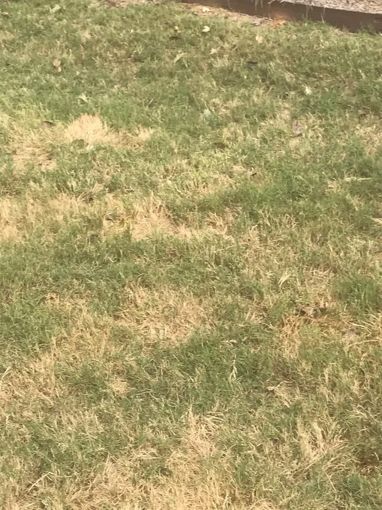 Professional landscape design for residential properties in Lilburn, GA by Nature Scapes