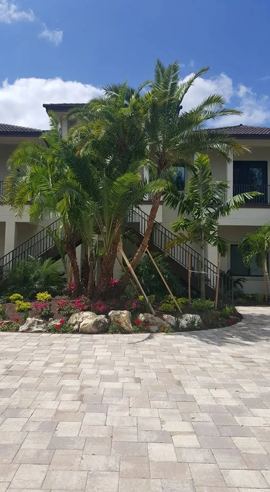 Affordable garden landscaping for year-round maintenance in Punta Gorda, FL by Nature Solutions Landscaping