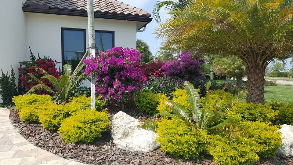 Top-rated landscaping services near you across Punta Gorda, FL - Nature Solutions Landscaping