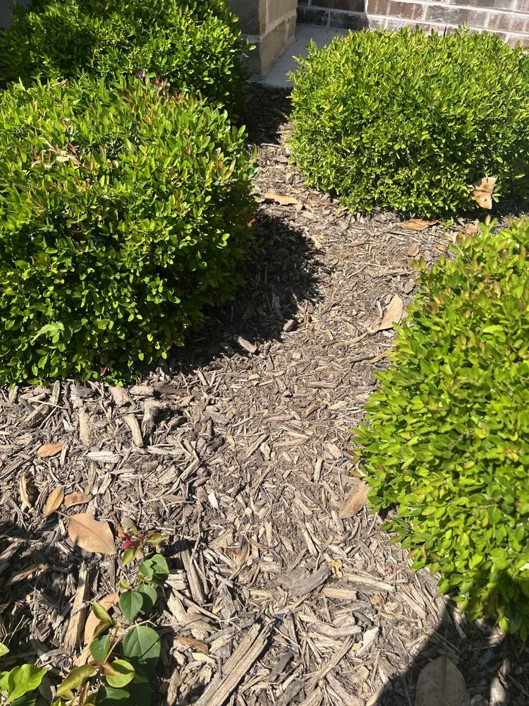 Expert garden landscaping in Leonard, TX by Nature Spray