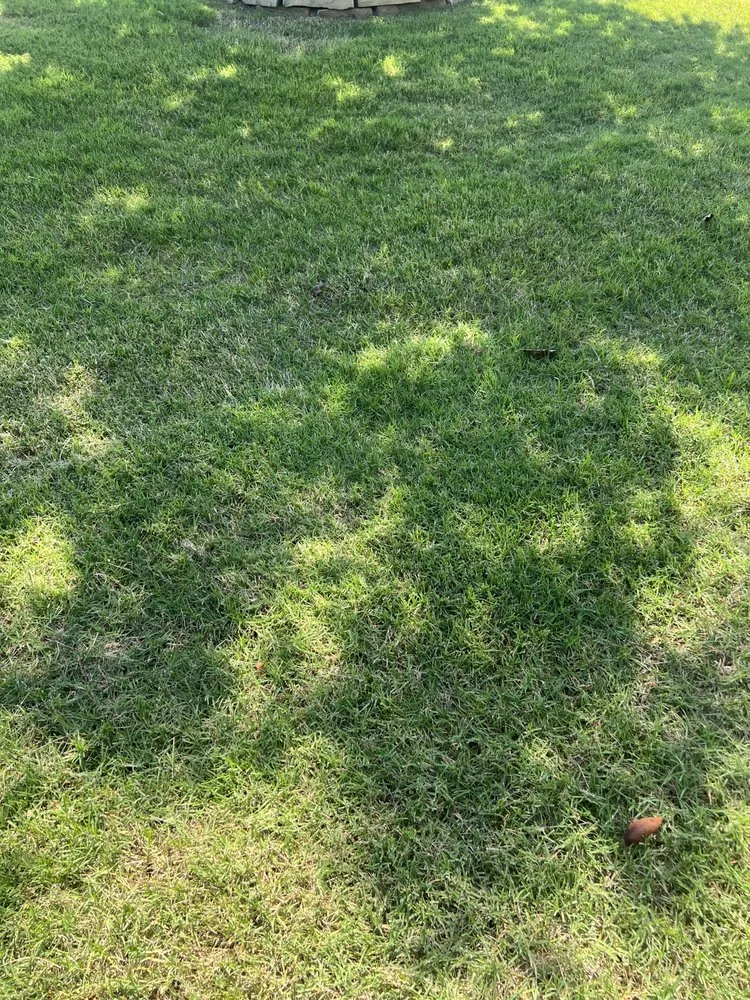 Professional yard maintenance near you in Leonard, TX by Nature Spray