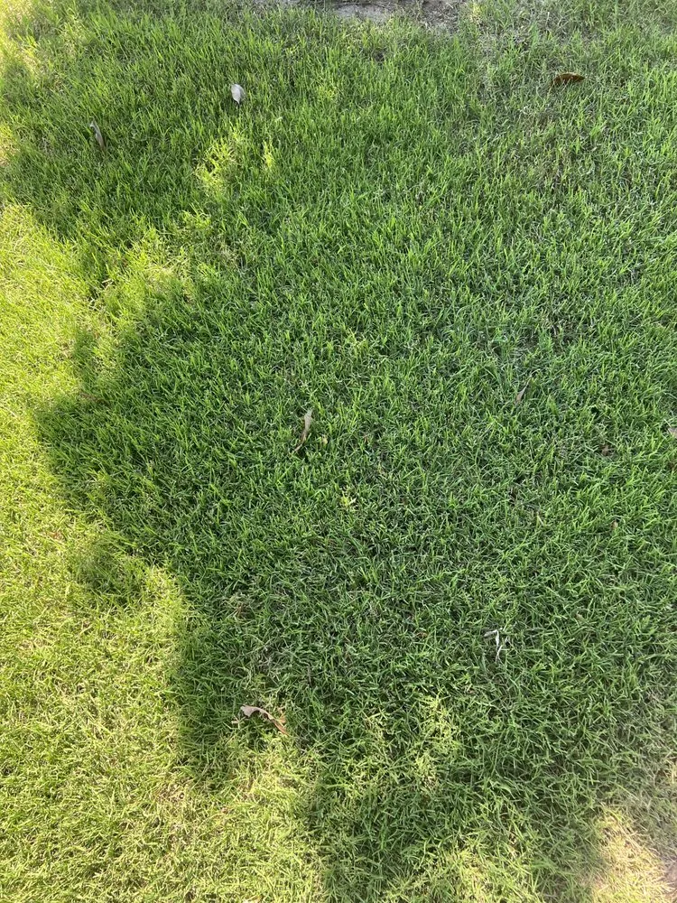 Affordable landscaping services in Leonard, TX - Nature Spray