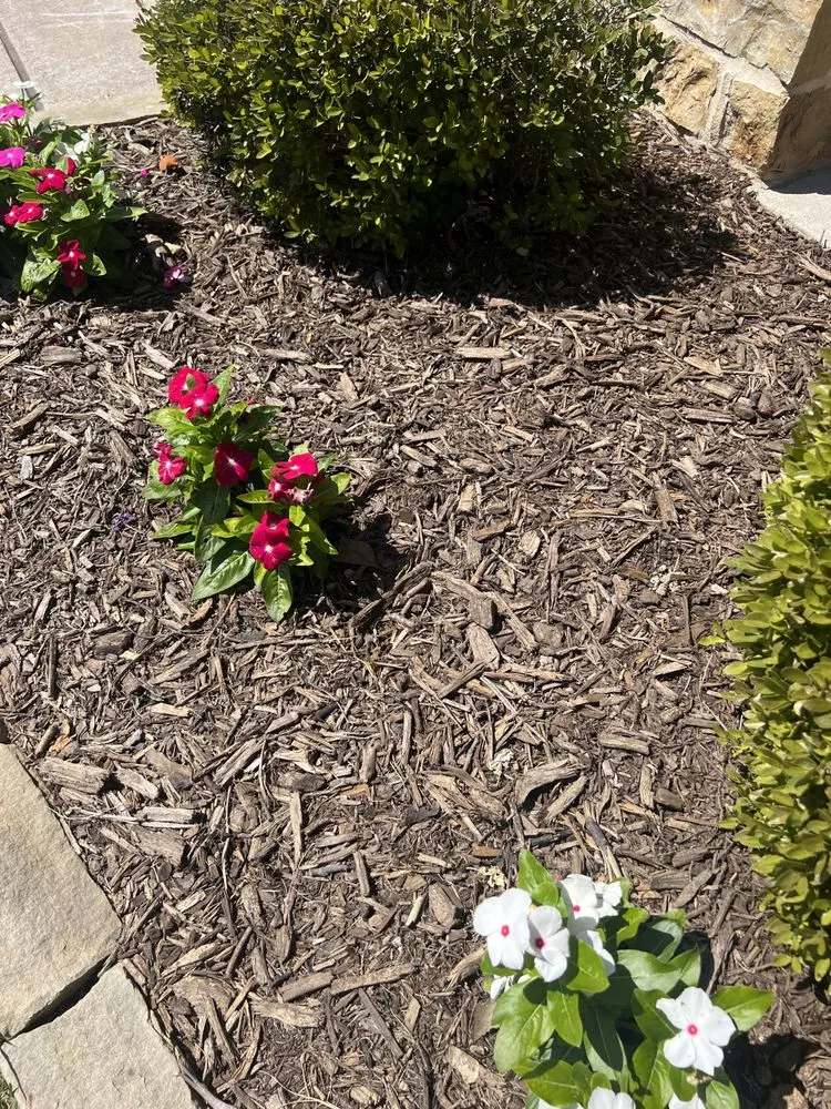 Trusted yard cleanup service in Leonard, TX - Nature Spray