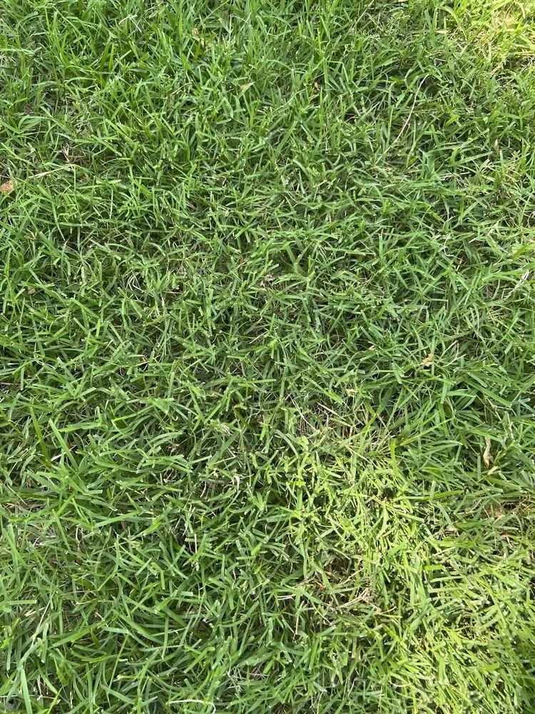 Custom garden landscaping in Leonard, TX - Nature Spray