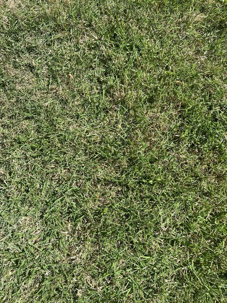 Custom outdoor landscaping for year-round maintenance across Leonard, TX - Nature Spray