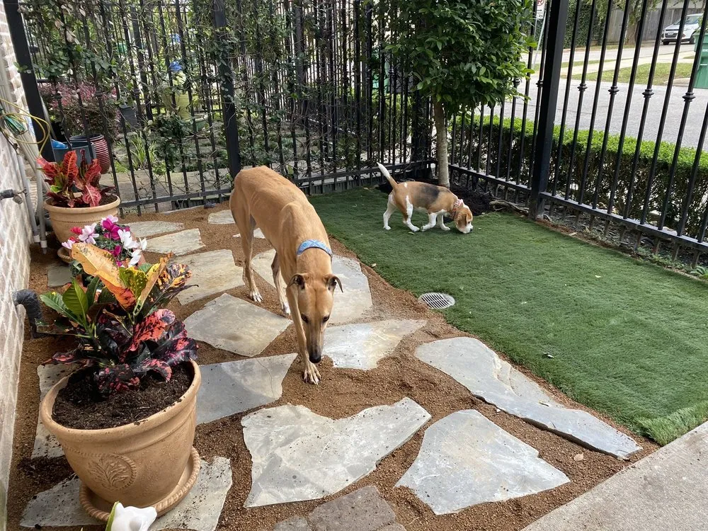 Expert garden landscaping experts serving Houston, TX - Nature Springs Landscaping