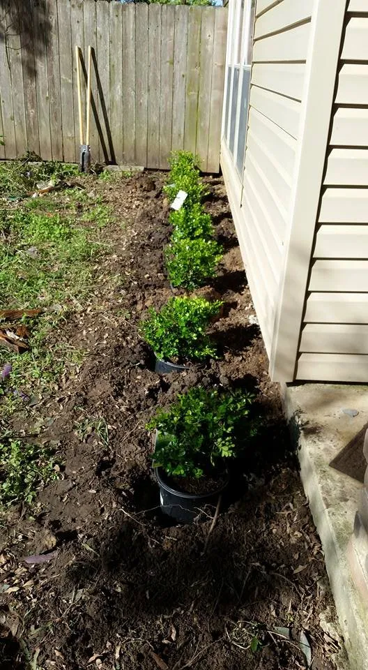 Local landscape design in Houston, TX - Nature Springs Landscaping