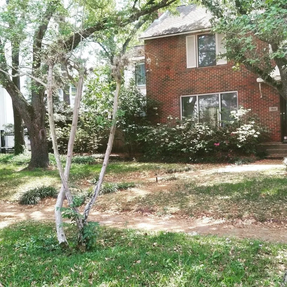 Professional landscaping services experts serving Houston, TX - Nature Springs Landscaping