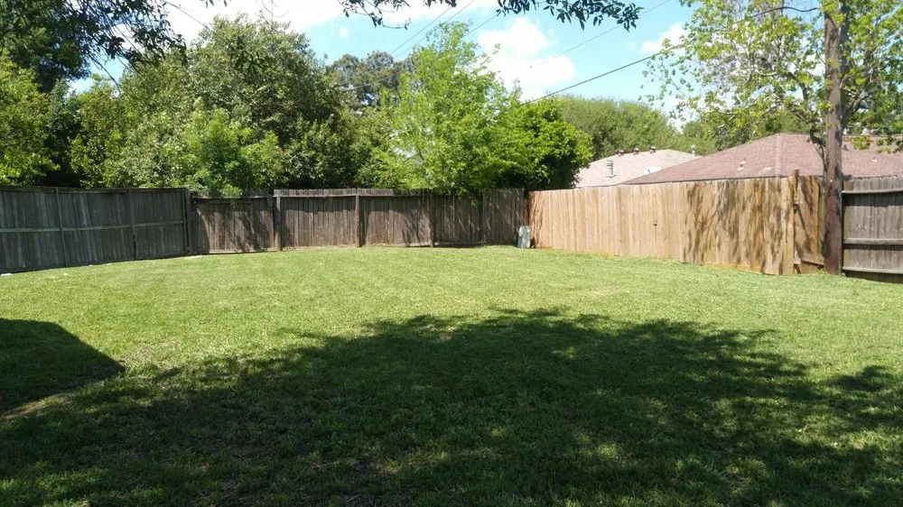 Expert yard cleanup service for beautiful yards across Houston, TX - Nature Springs Landscaping