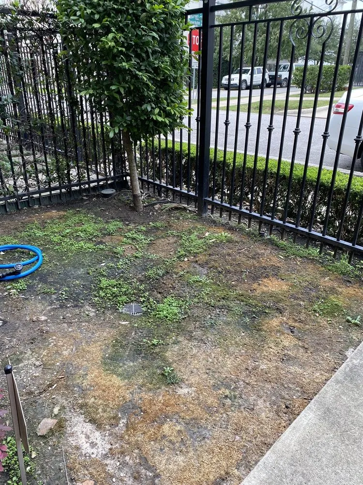 Custom lawn mowing service near you across Houston, TX - Nature Springs Landscaping