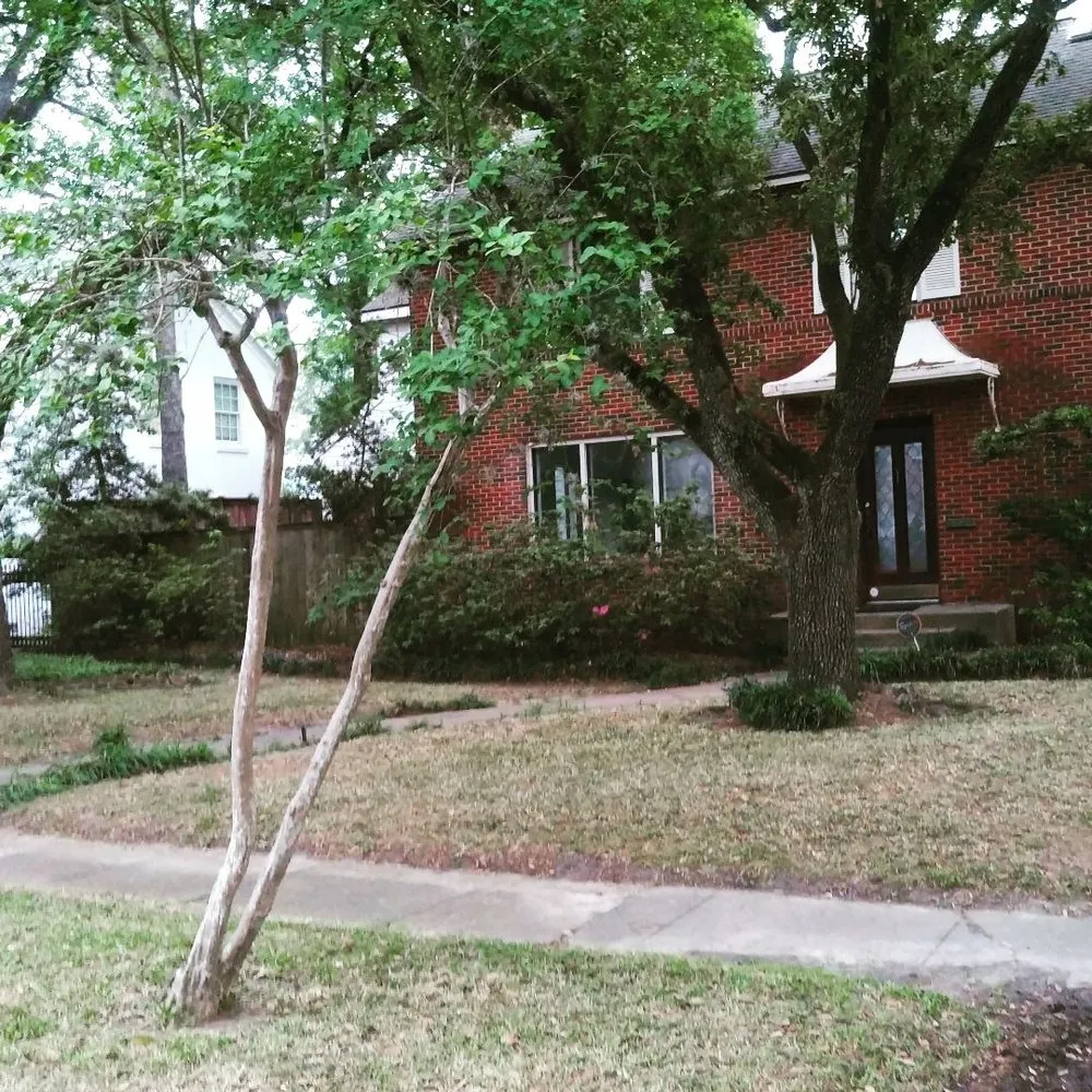 Top-rated outdoor landscaping in Houston, TX - Nature Springs Landscaping