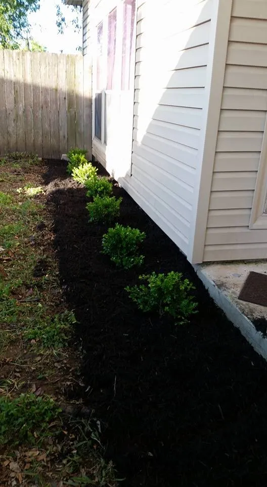 Local residential landscaping for outdoor upgrades across Houston, TX - Nature Springs Landscaping