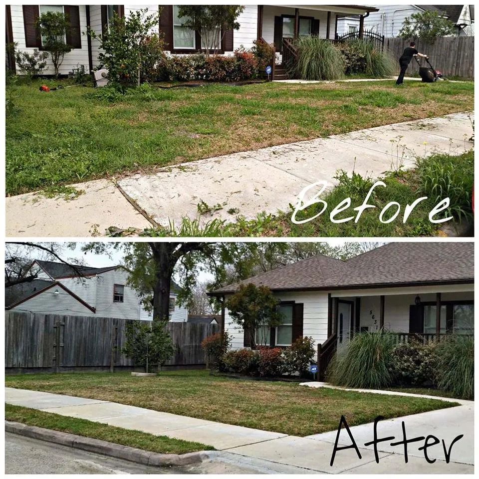 Professional landscape design experts serving Houston, TX - Nature Springs Landscaping