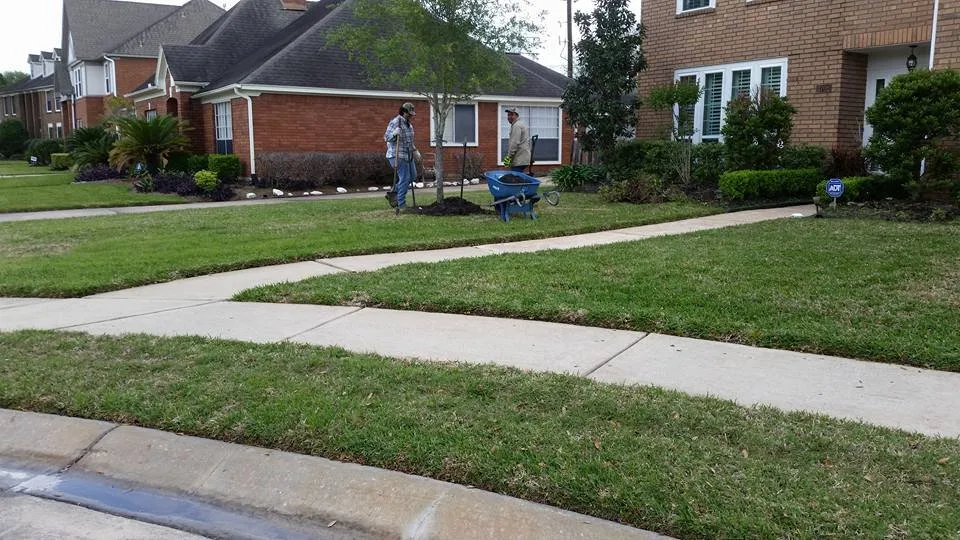 Affordable landscaping services in Houston, TX - Nature Springs Landscaping