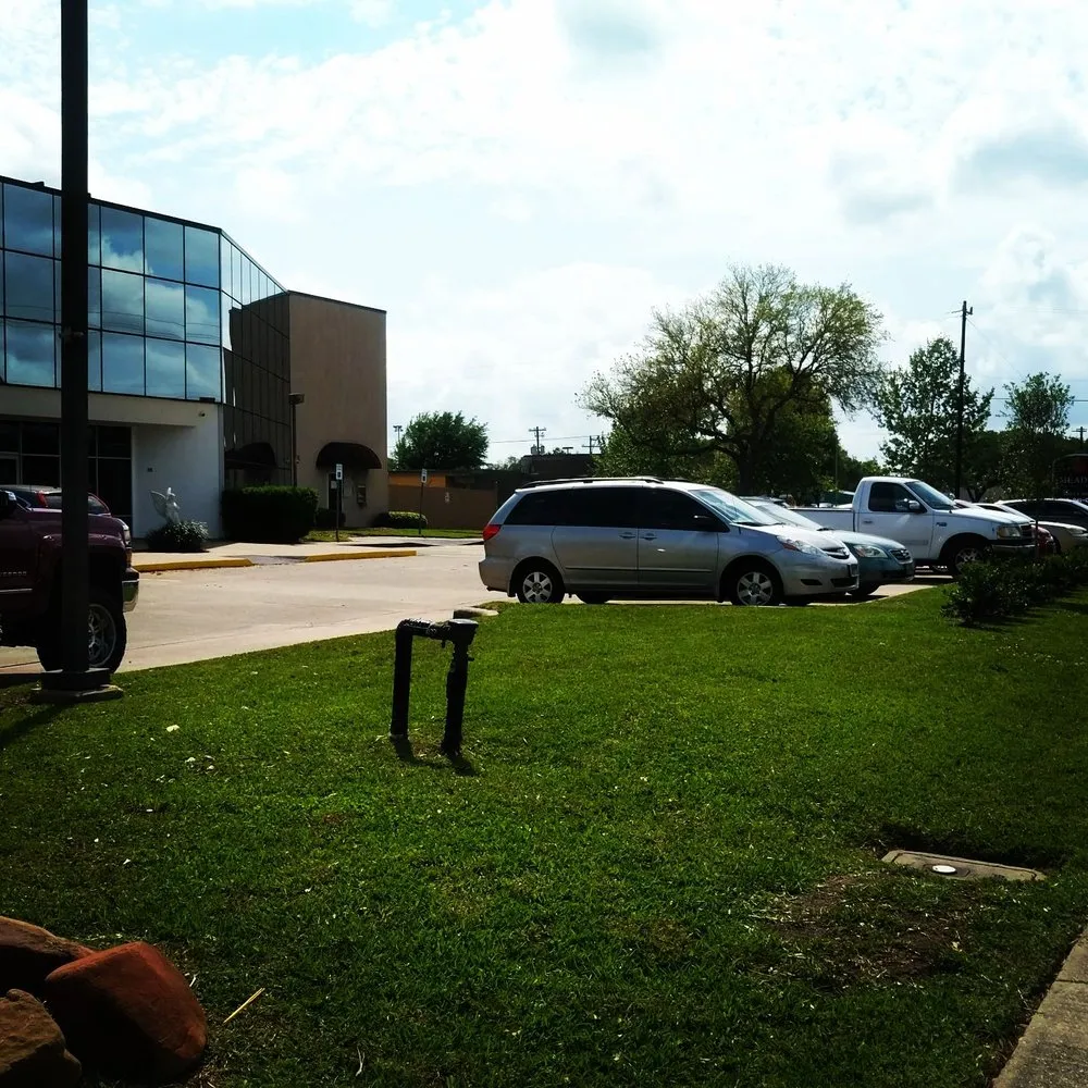 Affordable landscaping services for outdoor upgrades across Houston, TX - Nature Springs Landscaping