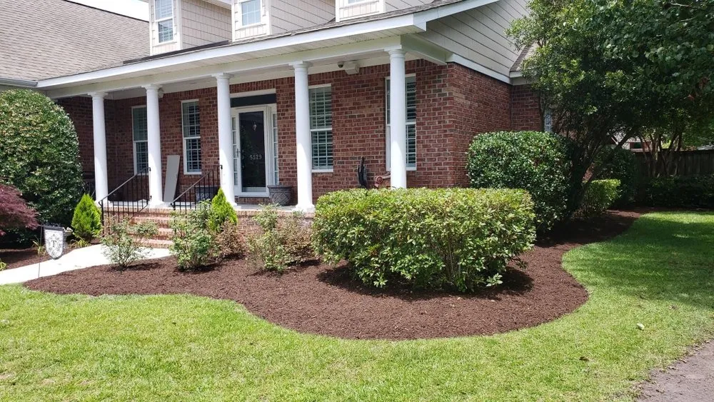 Trusted yard cleanup service for year-round maintenance across Hampstead, NC - Nature Tones Landscaping & Hardscaping