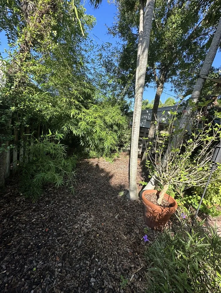 Top-rated outdoor landscaping for residential properties in Boynton Beach, FL by Nature United Landscapes