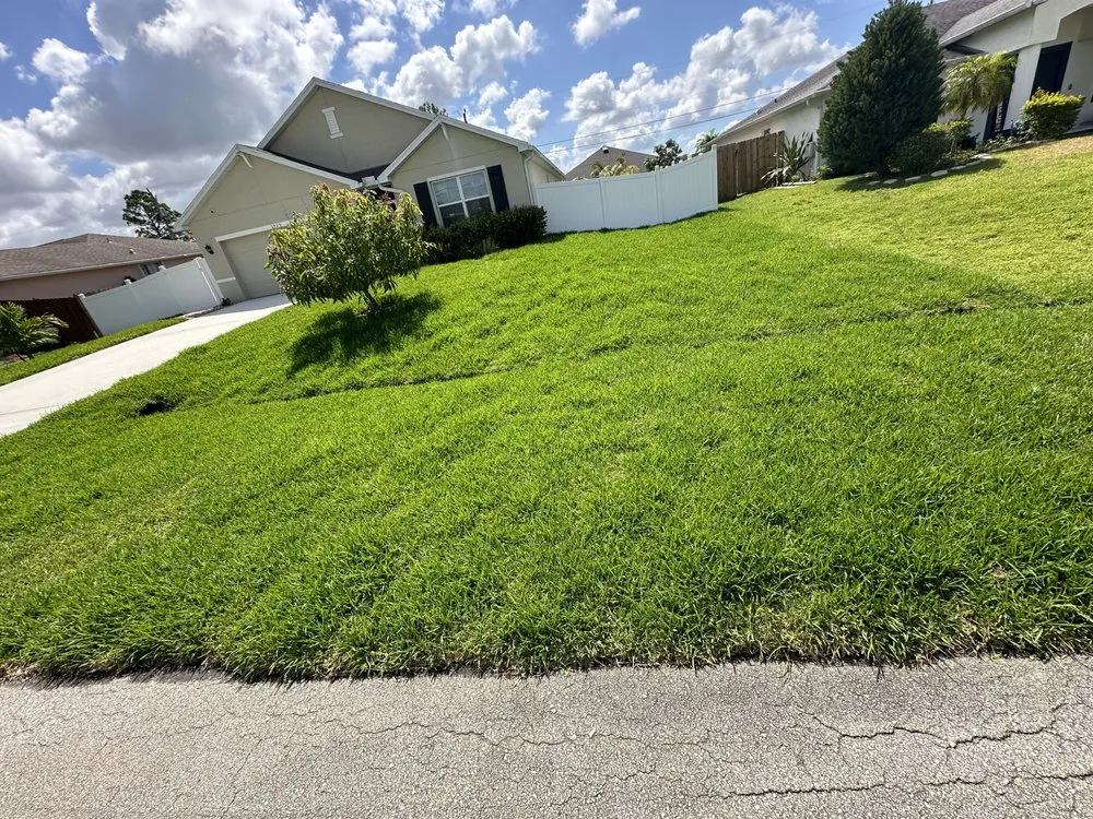 Professional landscape design experts serving Boynton Beach, FL - Nature United Landscapes