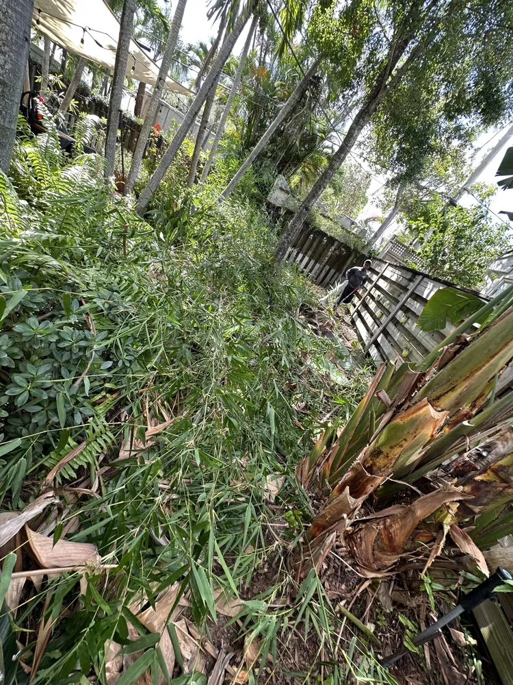 Expert garden landscaping experts serving Boynton Beach, FL - Nature United Landscapes