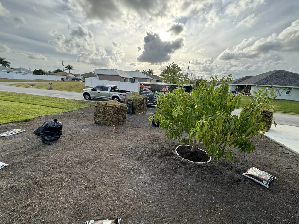 Professional yard maintenance in Boynton Beach, FL by Nature United Landscapes