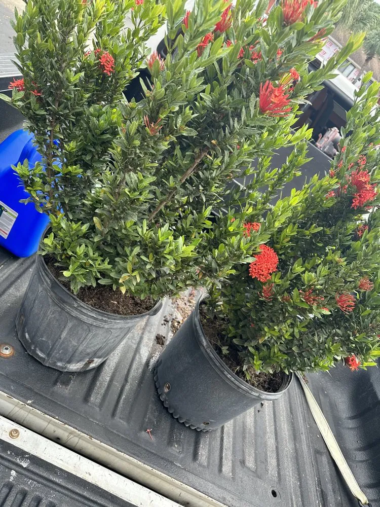 Reliable lawn care service for homes across Boynton Beach, FL - Nature United Landscapes