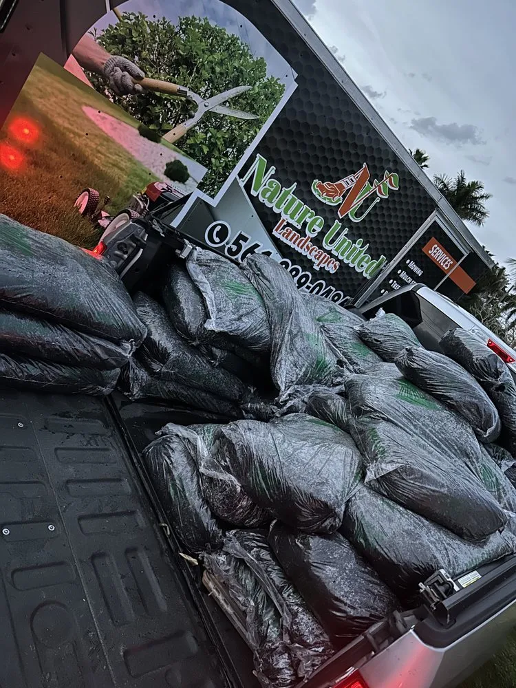 Expert yard cleanup service in Boynton Beach, FL - Nature United Landscapes