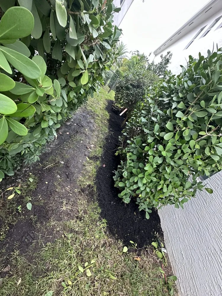 Professional landscape installation for year-round maintenance in Boynton Beach, FL by Nature United Landscapes