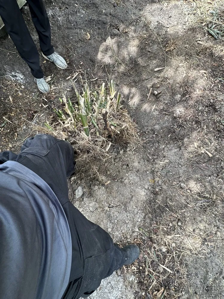 Trusted lawn mowing service in Boynton Beach, FL by Nature United Landscapes