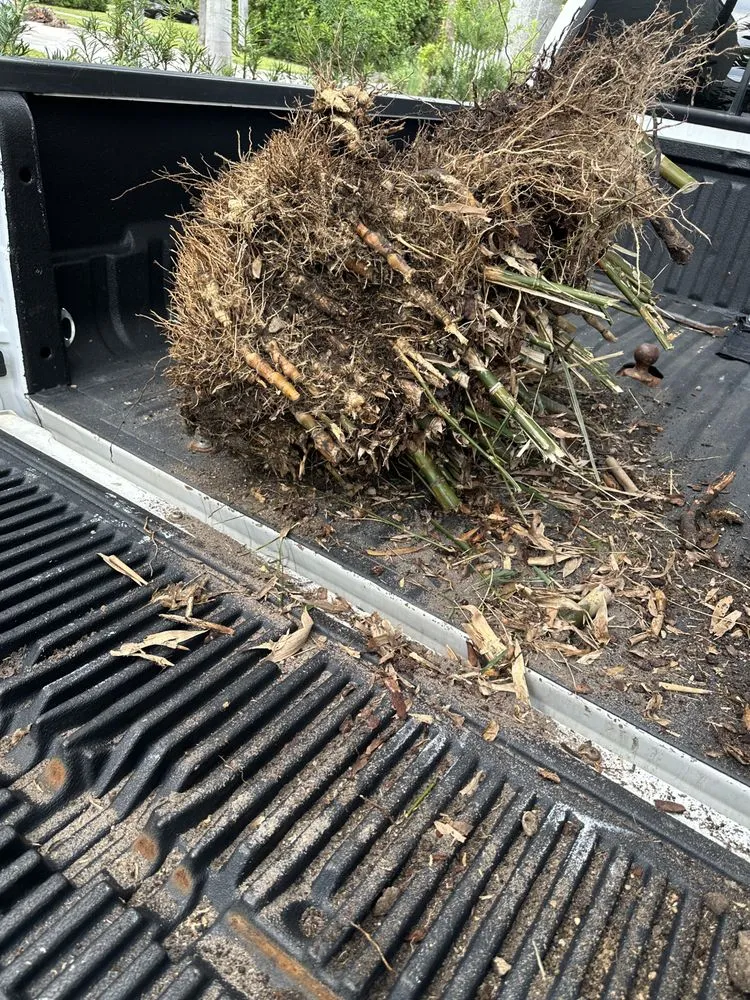 Professional garden landscaping in Boynton Beach, FL by Nature United Landscapes