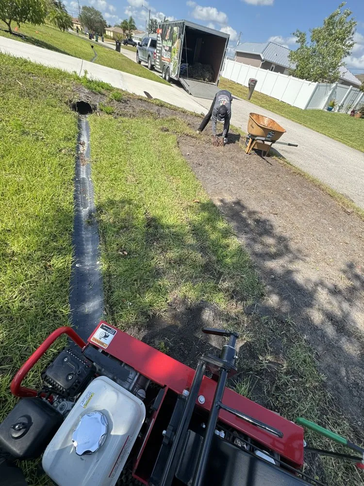 Reliable lawn care service in Boynton Beach, FL - Nature United Landscapes